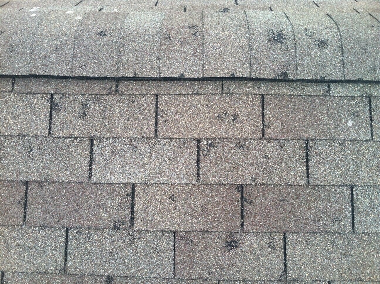 Hail damage - dense bruising and granule loss across field of asphalt shingles