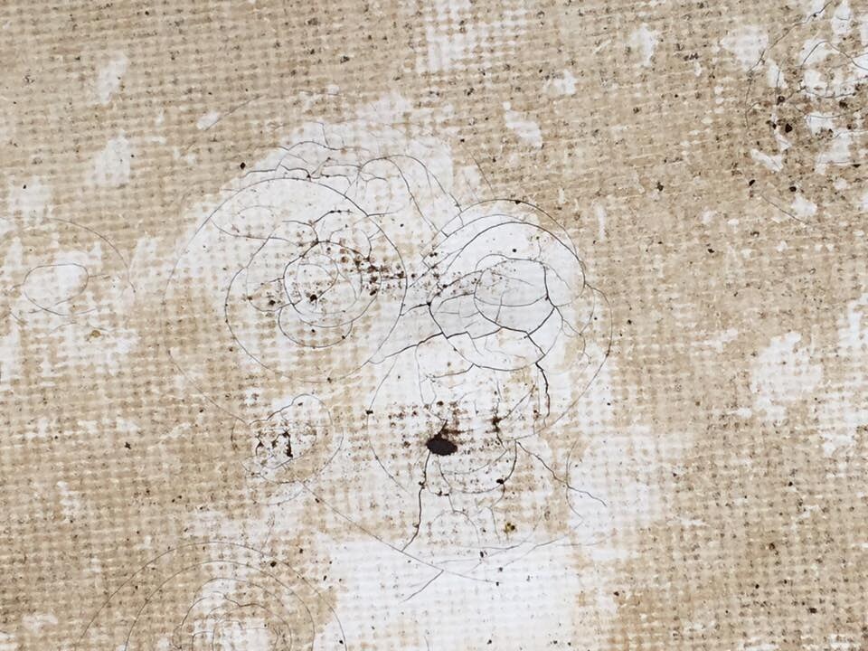 Hail damage on TPO commercial membrane - circular impact fractures