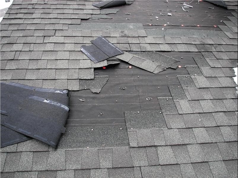Wind damage - shingles torn off and scattered, underlayment exposed